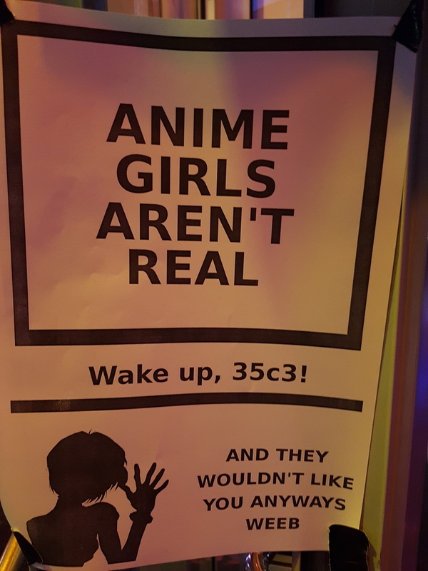 anime-girl-not-real.jpg